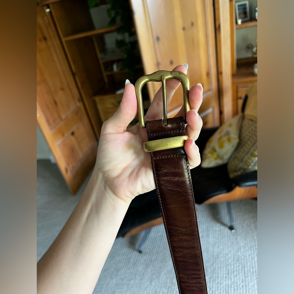 Fossil Brown Belt